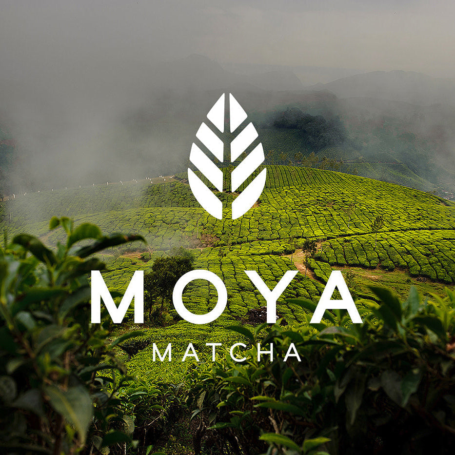 Moya Matcha