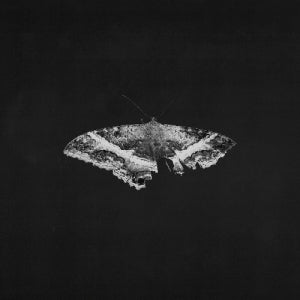 Kendrick Lamar - To Pimp A Butterfly