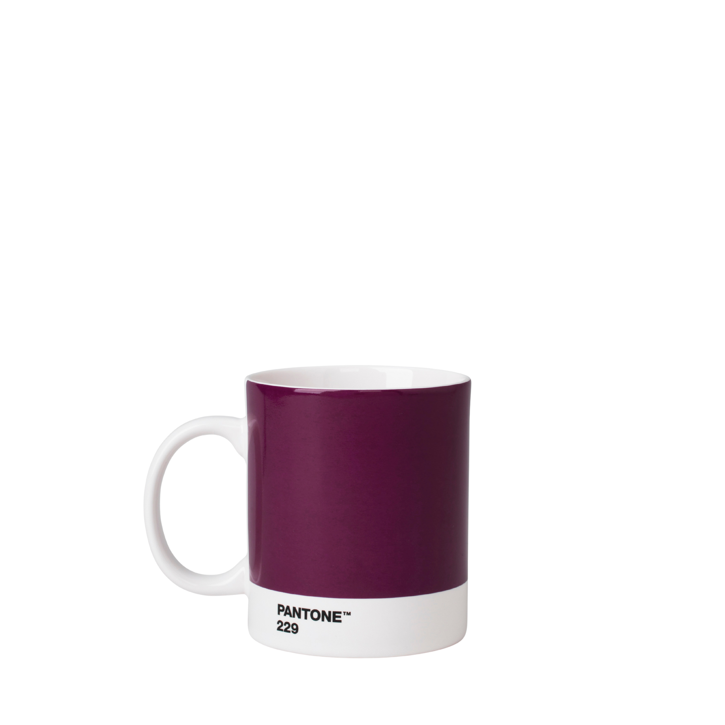 Pantone Mug