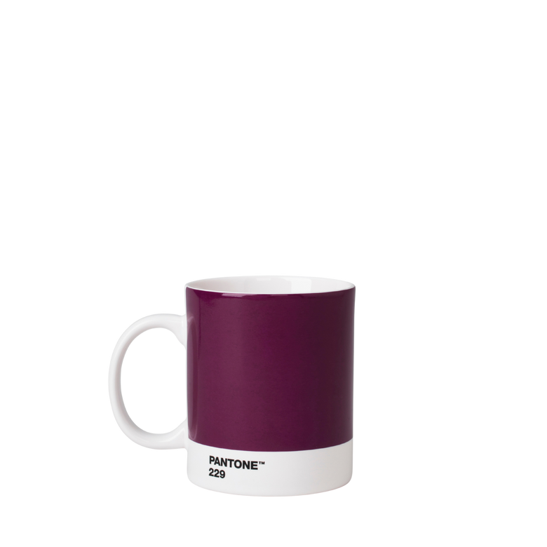 Pantone Mug
