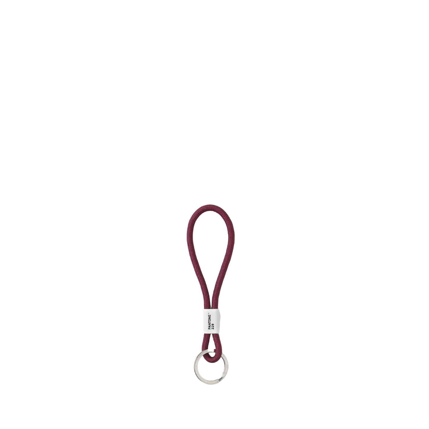 Pantone Key chain short