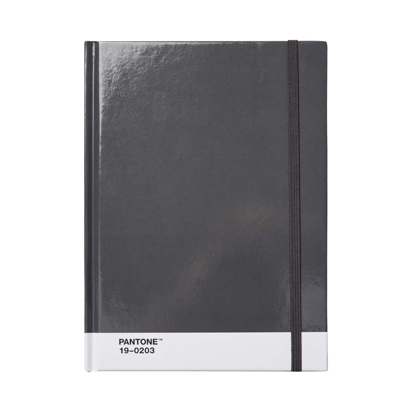 PANTONE Notebook large dotted