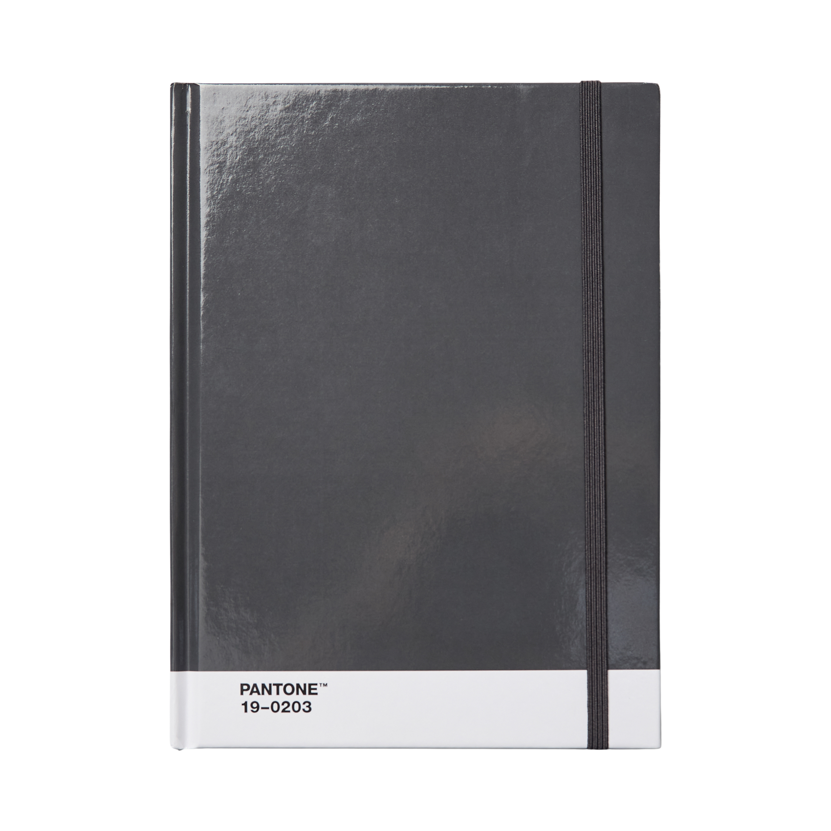 PANTONE Notebook large dotted