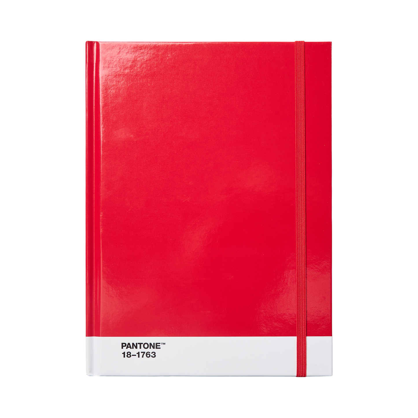 PANTONE Notebook large dotted