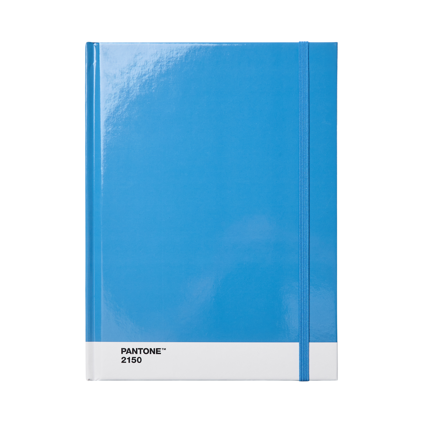 PANTONE Notebook large dotted