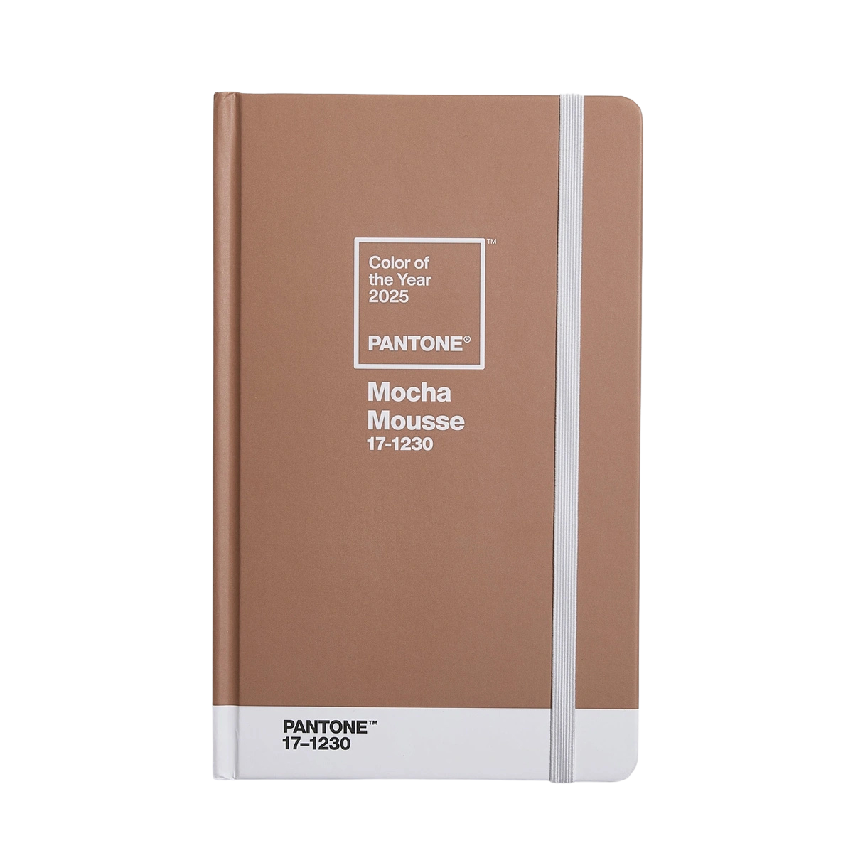 PANTONE Notebook small lined – COLOR OF THE YEAR 2025