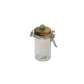 Glass Jar with Clay Figure