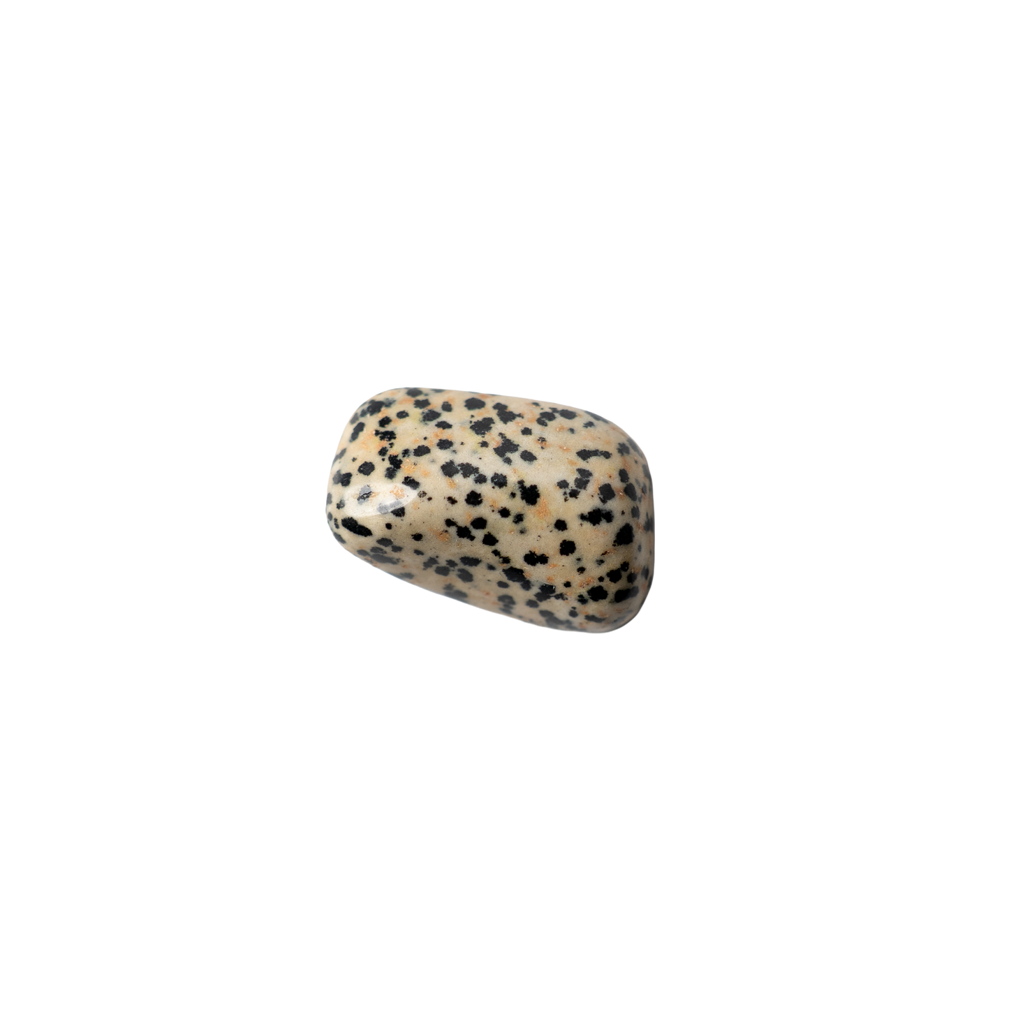 Large tumble stone – Dalmatian jasper