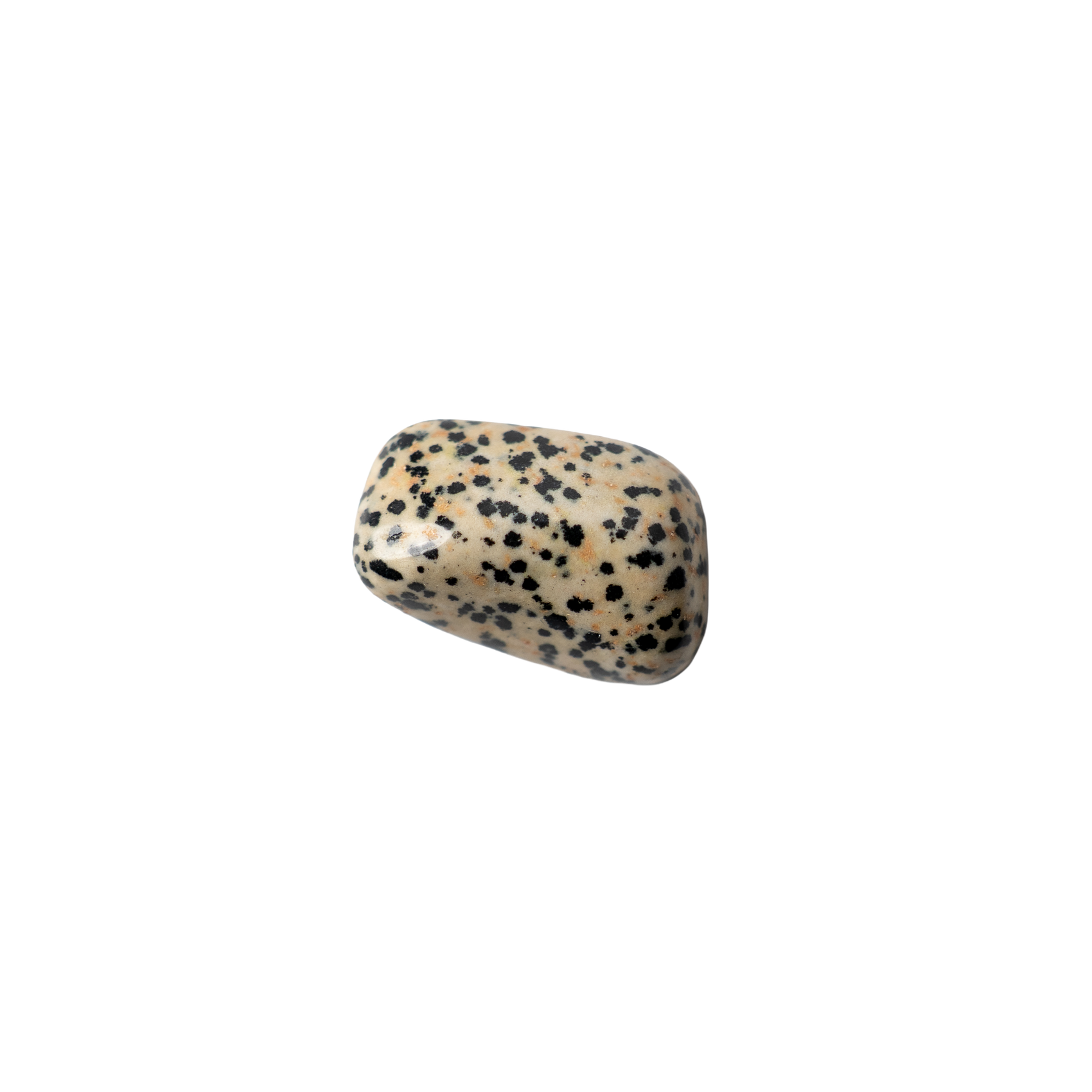 Large tumble stone – Dalmatian jasper