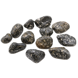 Medium African tumble stone – Guinea fowl