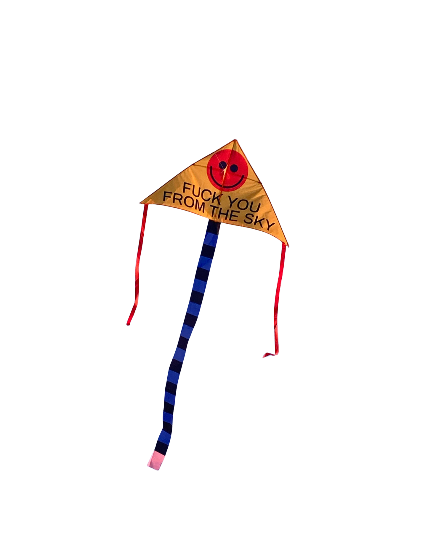 FUCK YOU FROM THE SKY Kite