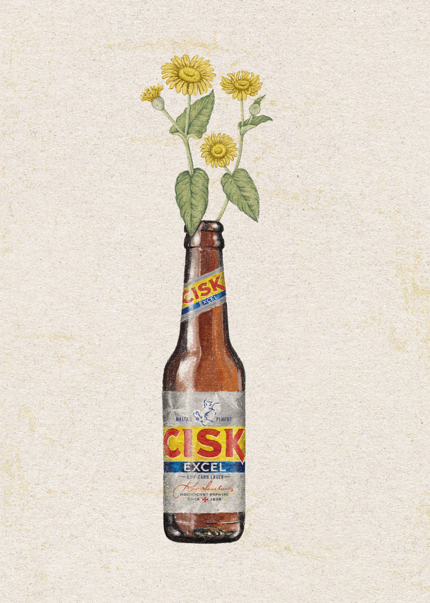 Cisk Excel