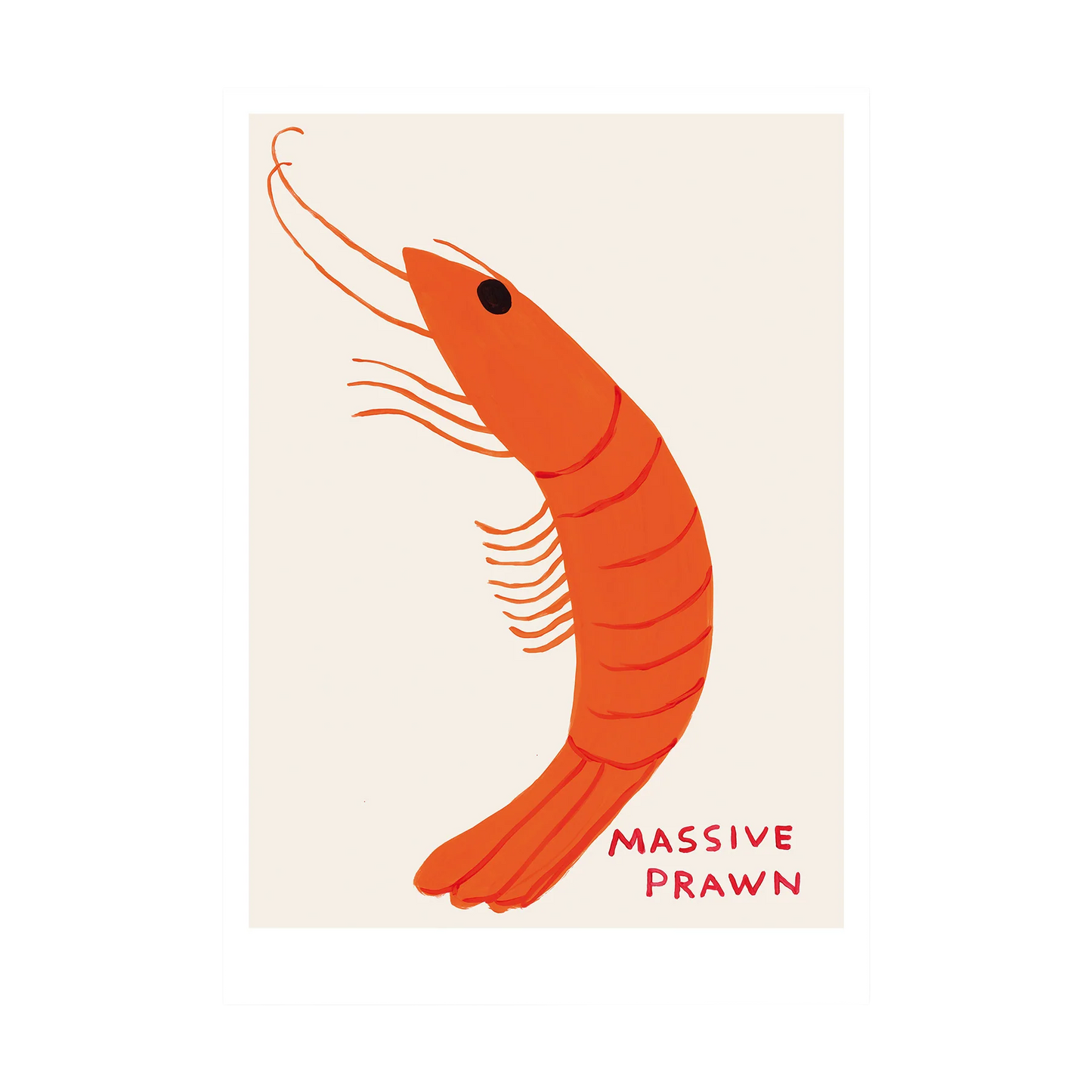 Massive Prawn Postcard