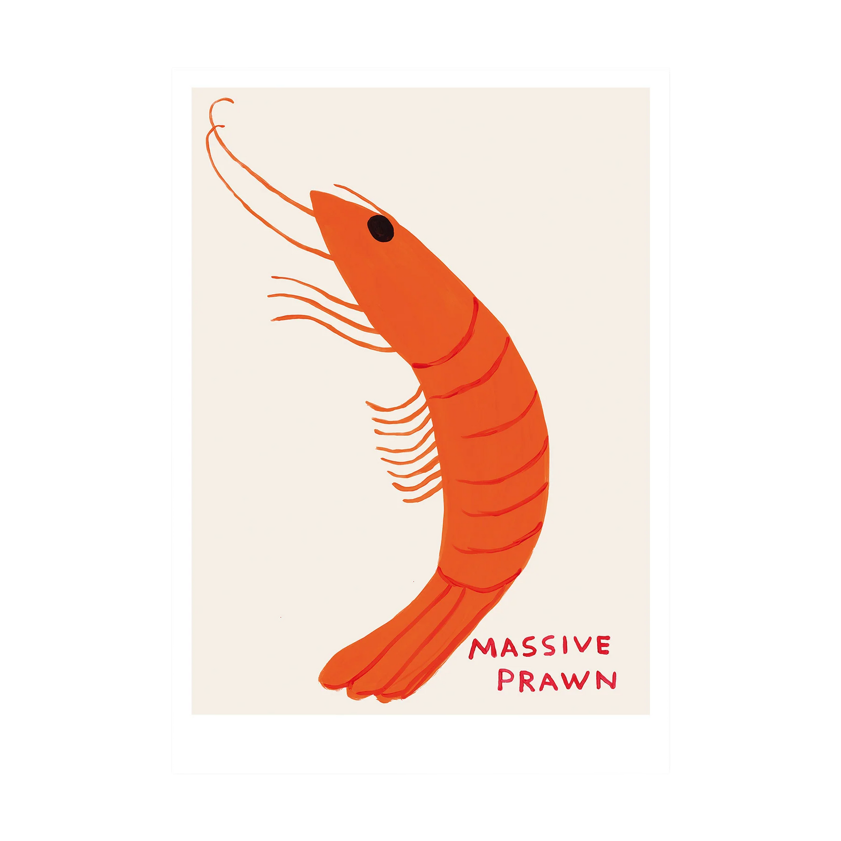 Massive Prawn Postcard