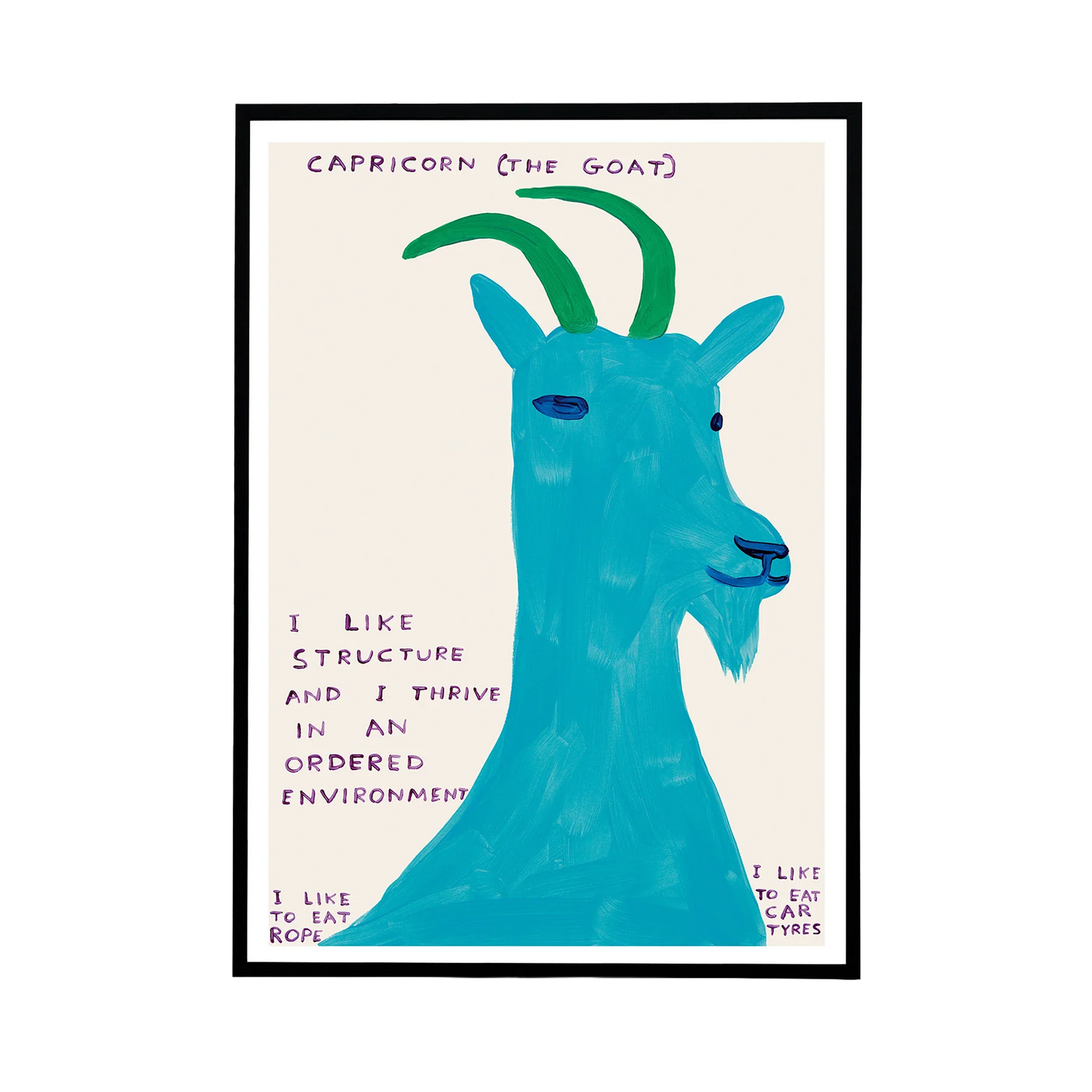 Signs of the Zodiac - Capricorn Poster