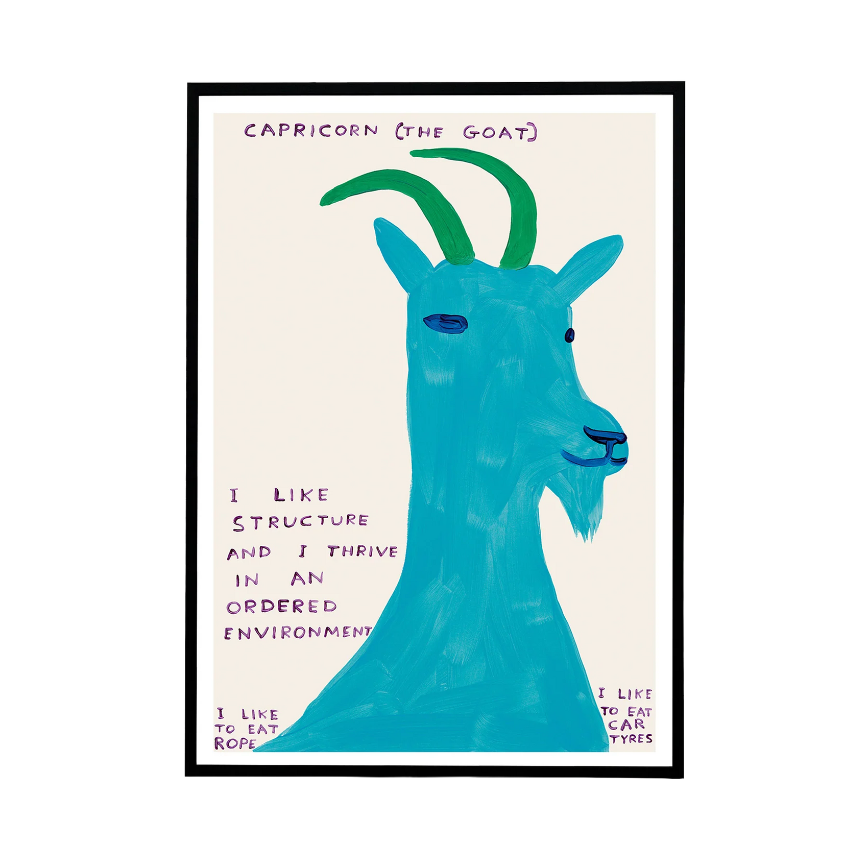 Signs of the Zodiac - Capricorn Poster