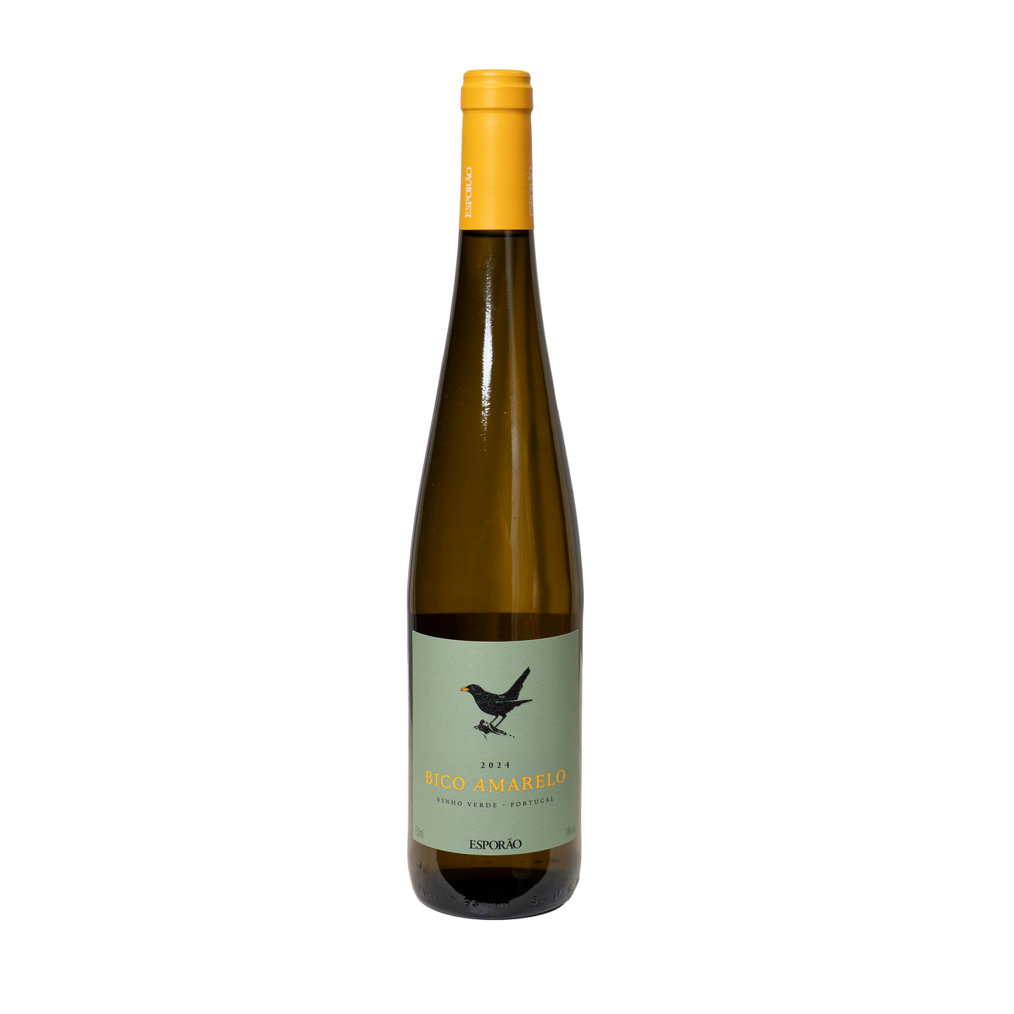 Blanco Amarelo White