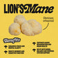 Lion's Mane Tincture