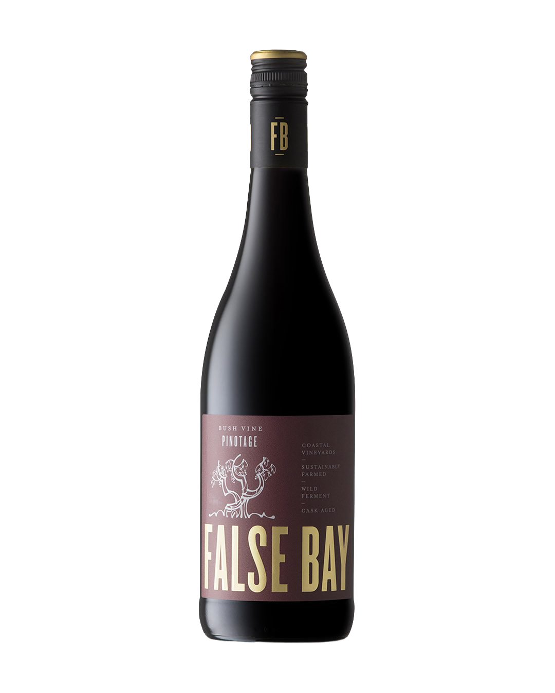 Pinotage Bush Vine False Bay