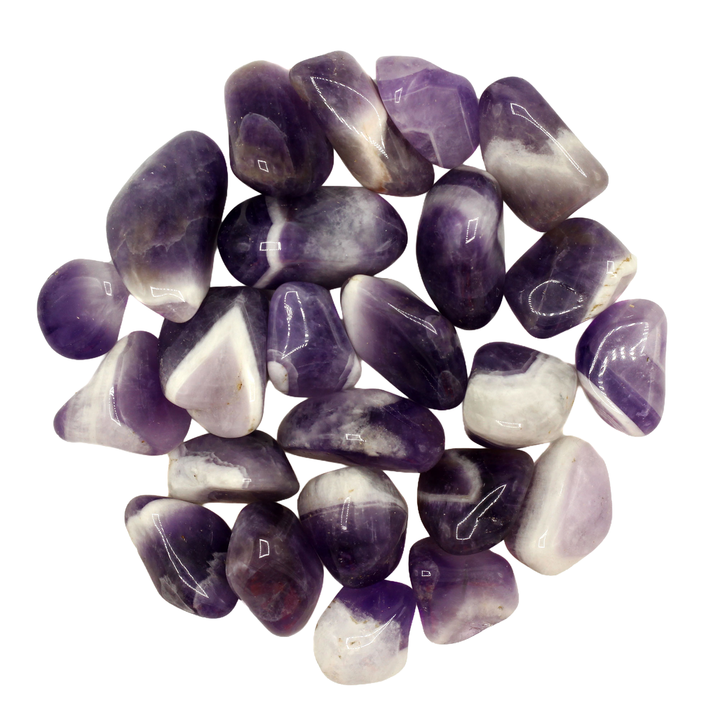 Amethyst banded (B grade)
