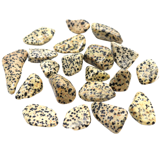 Large tumble stone – Dalmatian jasper