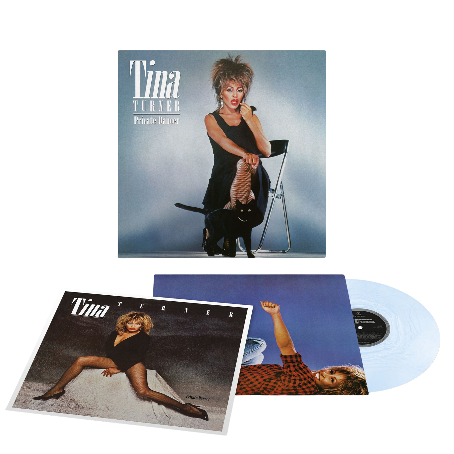 Tina Turner - Private Dancer