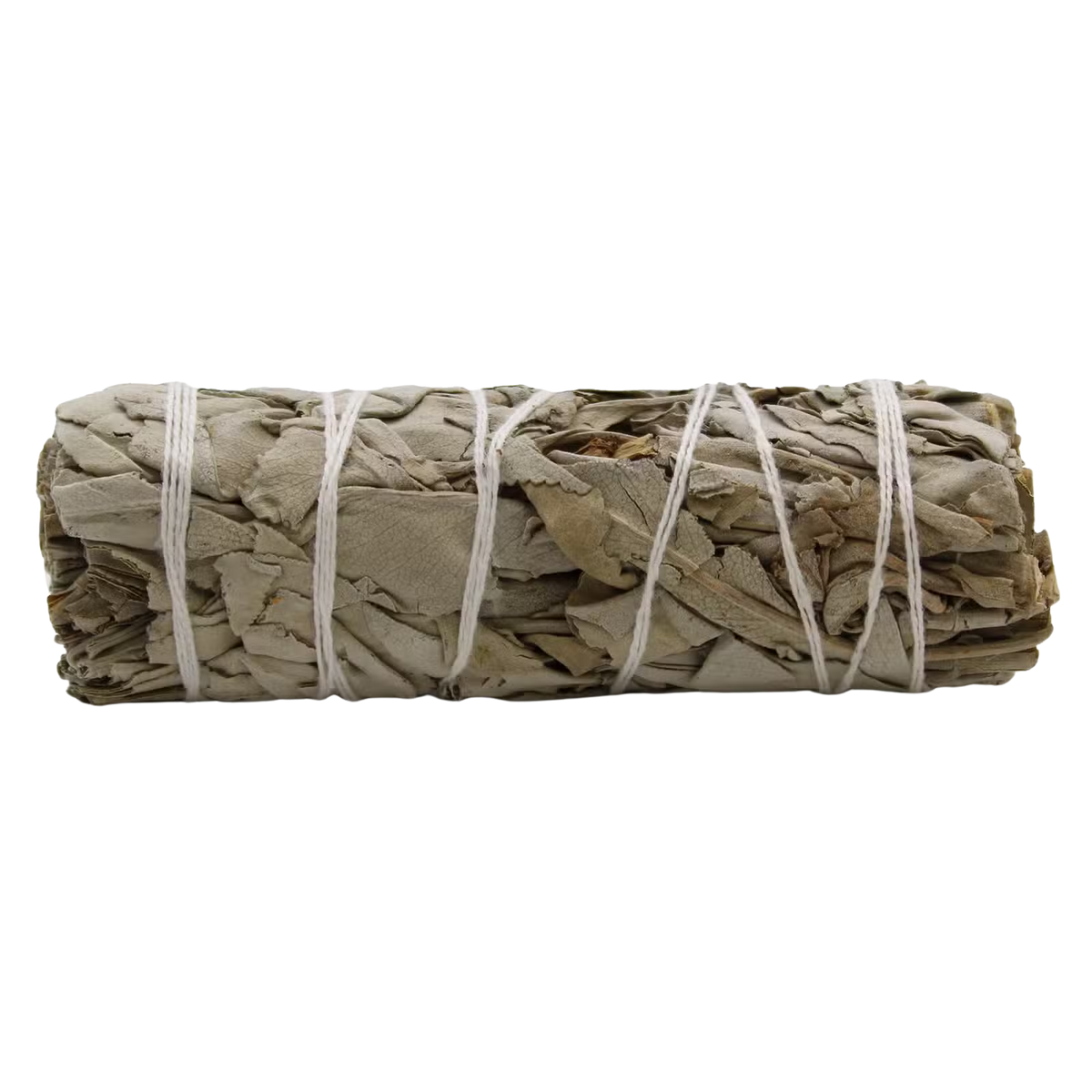 White Sage 10cm