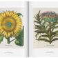 A Garden Eden Masterpieces of Botanical Illustration