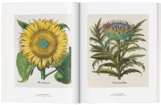 A Garden Eden Masterpieces of Botanical Illustration