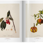 A Garden Eden Masterpieces of Botanical Illustration