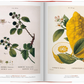 A Garden Eden Masterpieces of Botanical Illustration 45th Ed