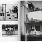 Bauhaus. Updated Edition