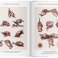 Bourgery. Atlas of Human Anatomy and Surgery
