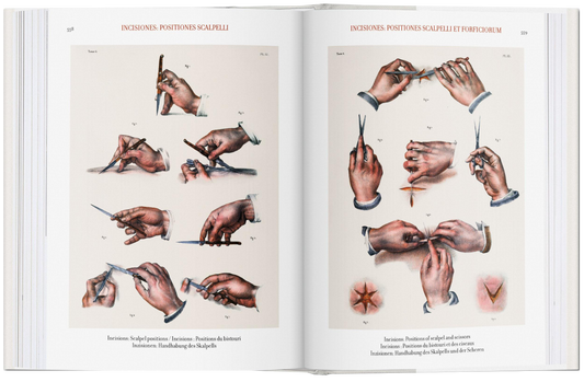 Bourgery. Atlas of Human Anatomy and Surgery