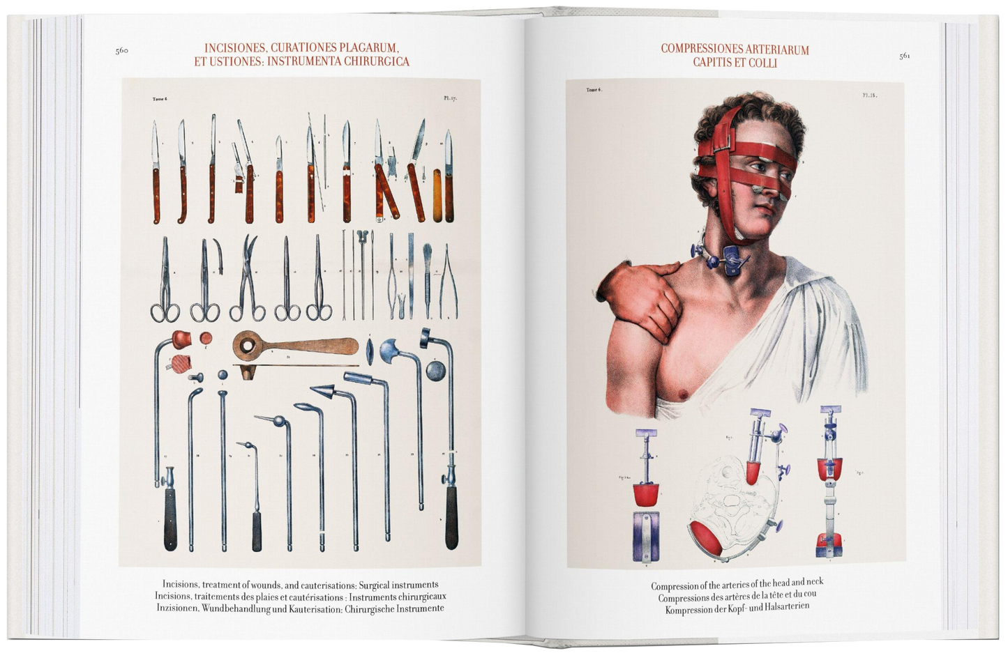 Bourgery. Atlas of Human Anatomy and Surgery