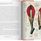 A Garden Eden Masterpieces of Botanical Illustration 45th Ed