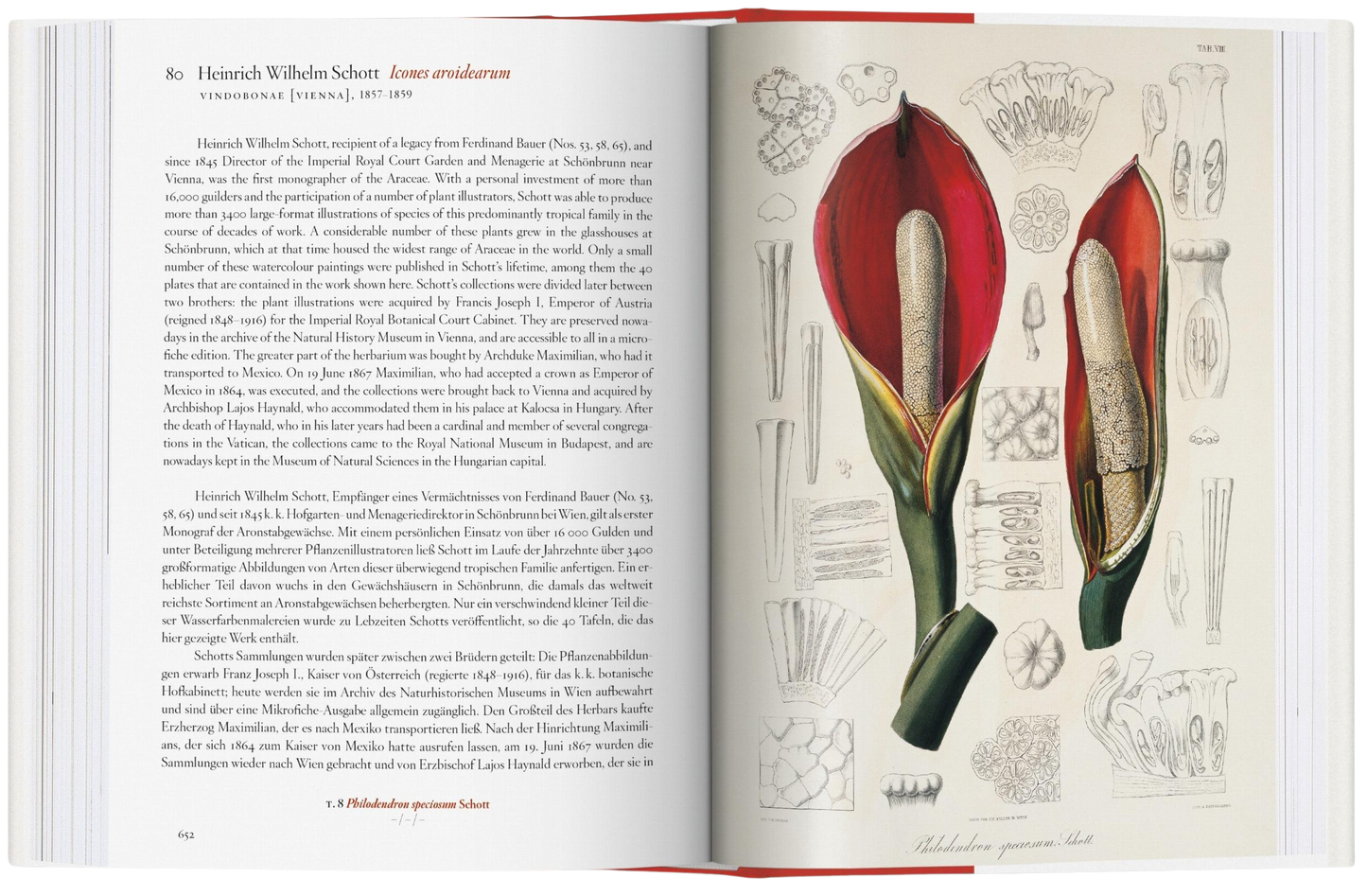 A Garden Eden Masterpieces of Botanical Illustration 45th Ed