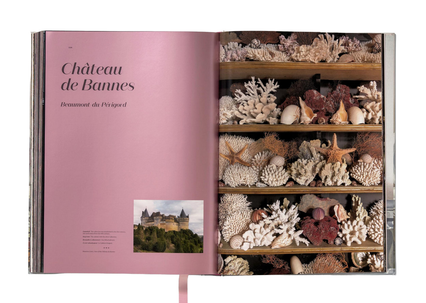 Listri. Cabinet of Curiosities