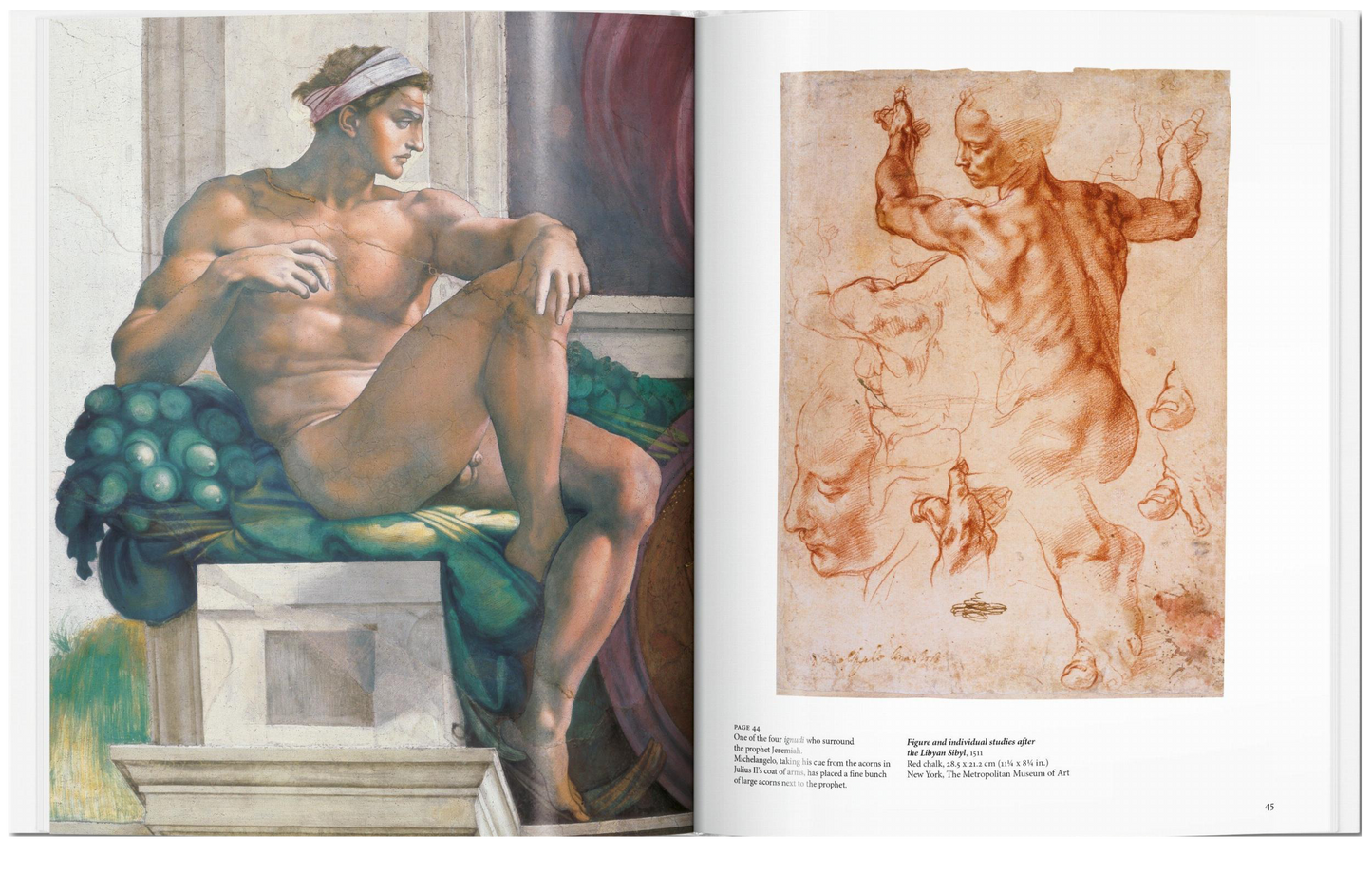 Michelangelo