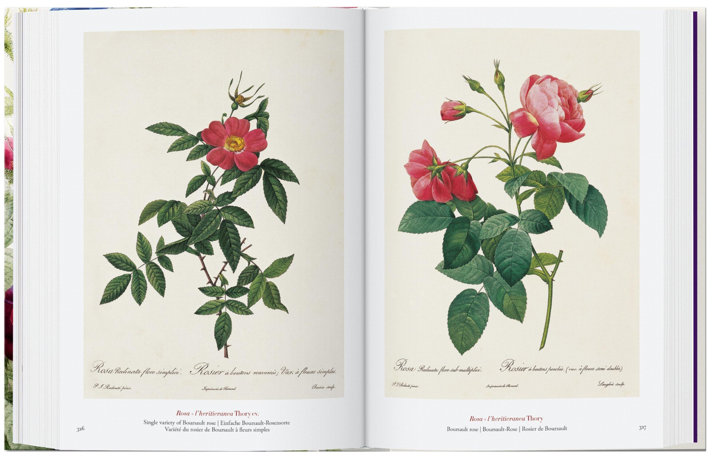 Redouté. The Book of Flowers. 45th Ed.