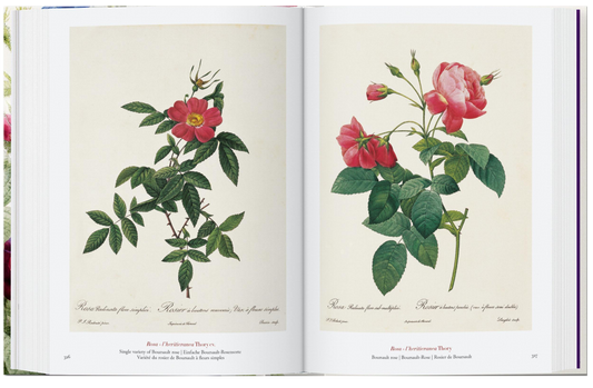 Redouté. The Book of Flowers. 45th Ed.