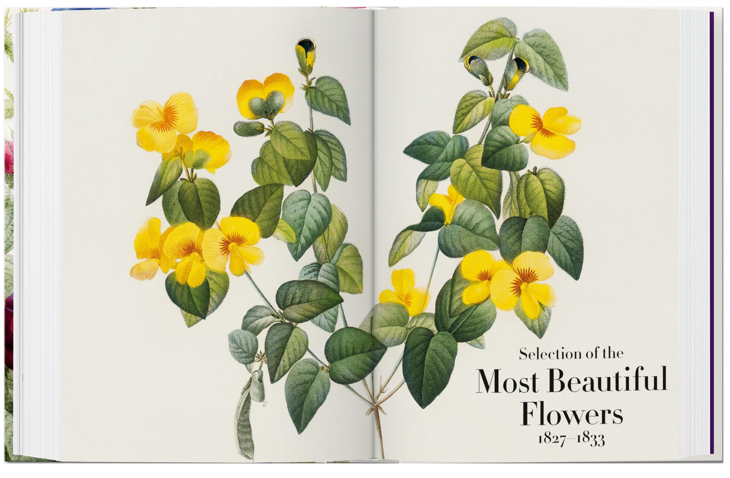 Redouté. The Book of Flowers. 45th Ed.