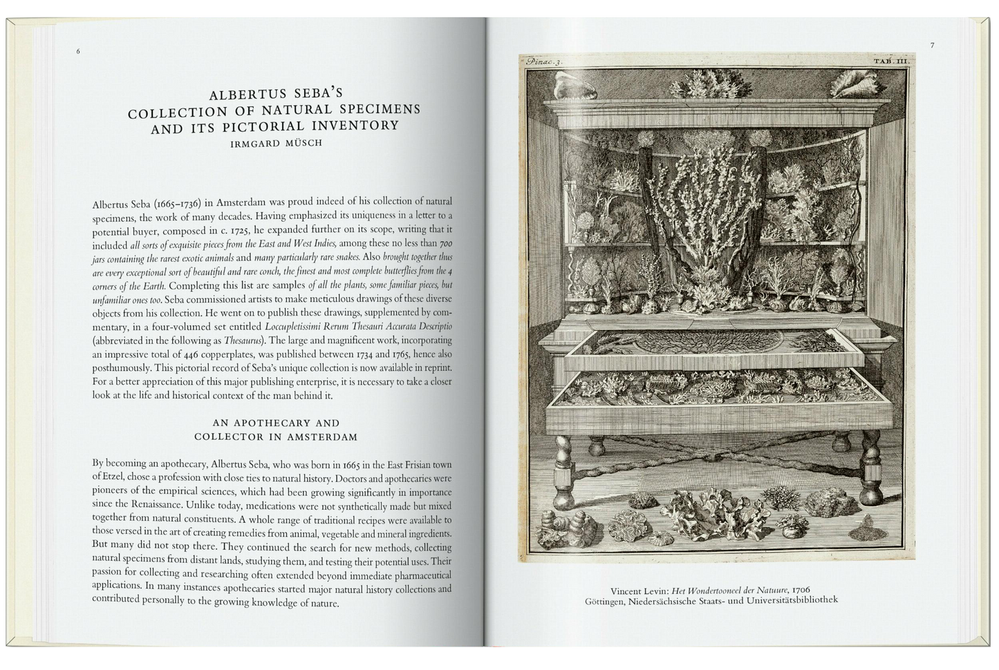 Seba. Cabinet of Natural Curiosities. 40th Ed.