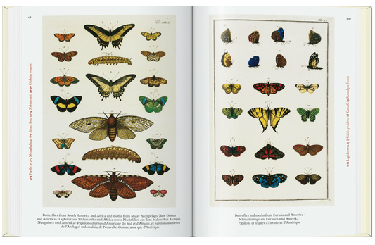 Seba. Cabinet of Natural Curiosities. 40th Ed.