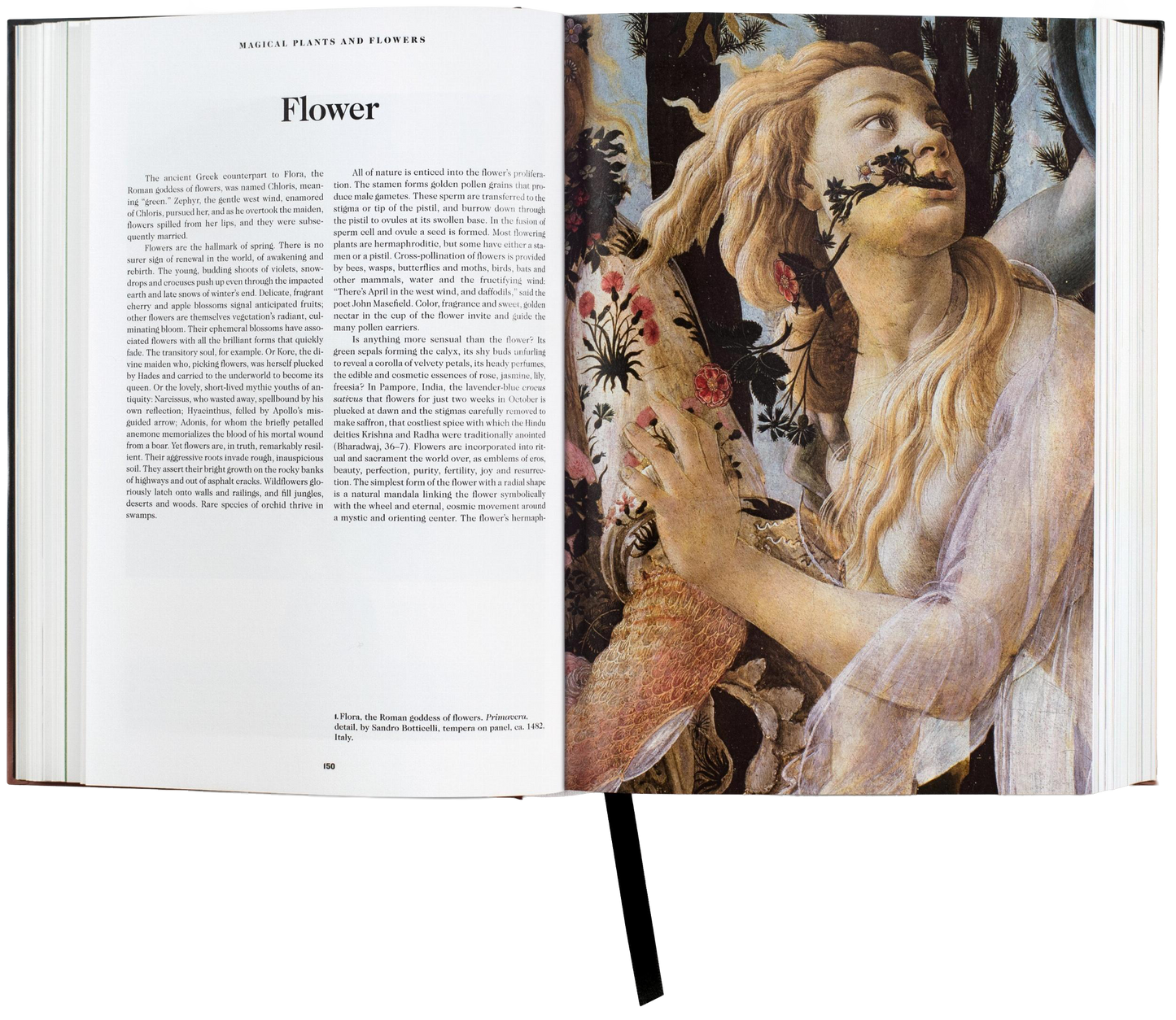 The Book of Symbols Reflections on Archetypal Im.