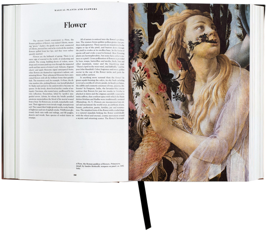 The Book of Symbols Reflections on Archetypal Im.