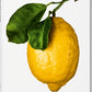The Gourmand's Lemon.